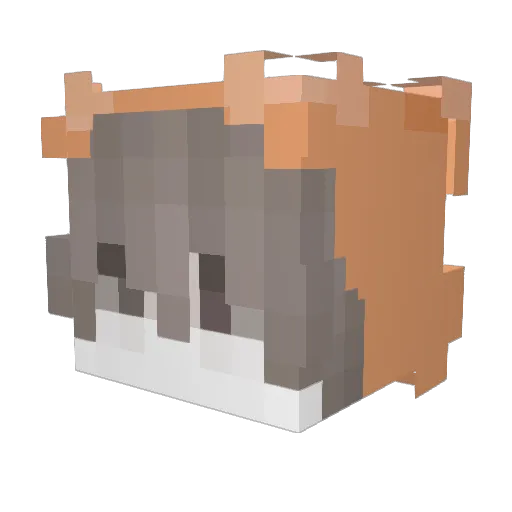 Yisuz23 Minecraft avatar head, 3D render