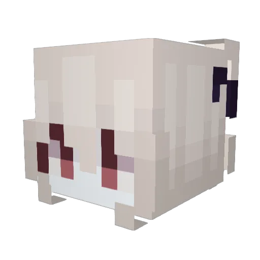 Ylenii Minecraft avatar head, 3D render
