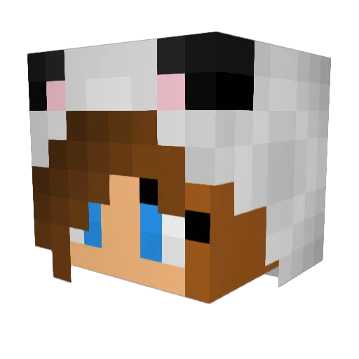 YllinFox Minecraft avatar head, 3D render