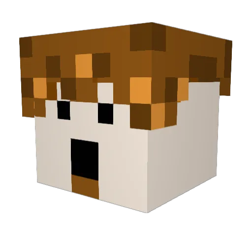Ylustra Minecraft avatar head, 3D render