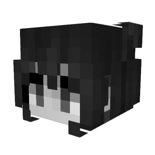 Ymir304 Minecraft avatar head, 3D render
