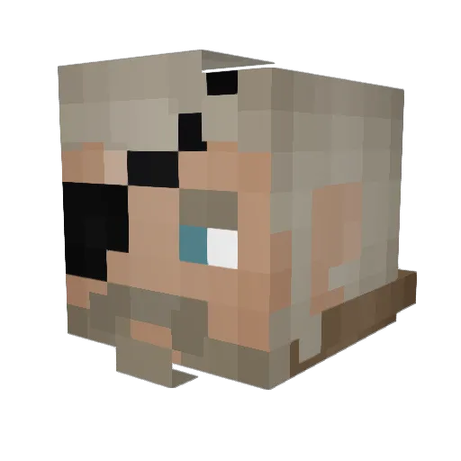 Ymmmd01 Minecraft avatar head, 3D render