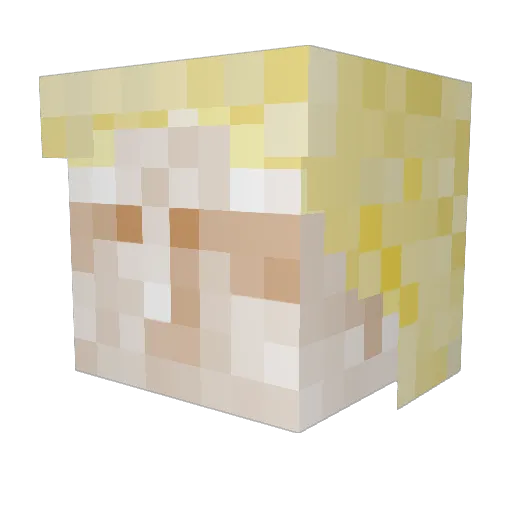Ymn231 Minecraft avatar head, 3D render