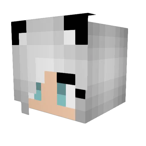 Ynithesia Minecraft avatar head, 3D render