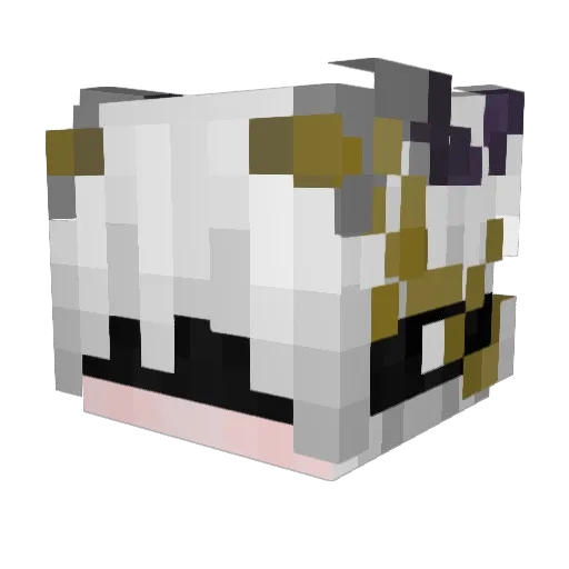 Ynotcrasher Minecraft avatar head, 3D render