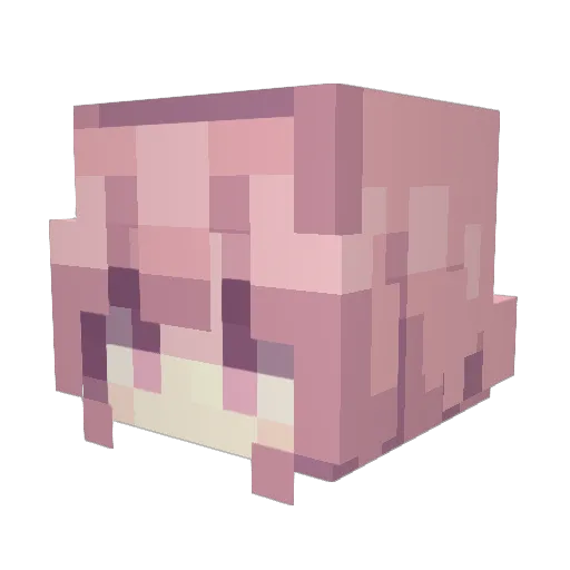 Ynvo1 Minecraft avatar head, 3D render