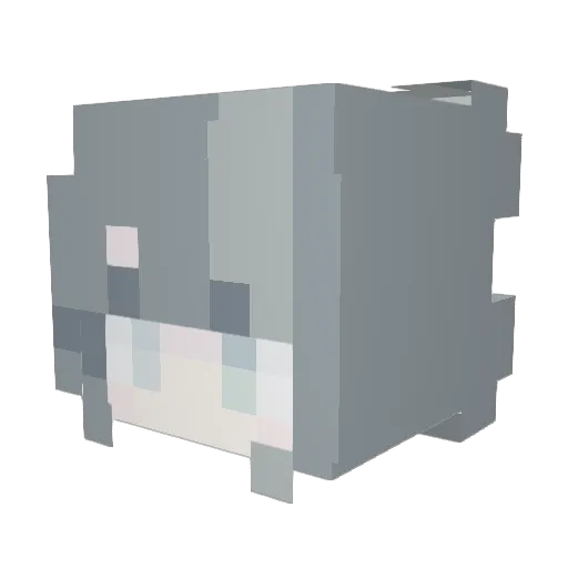 Ynx0_0 Minecraft avatar head, 3D render