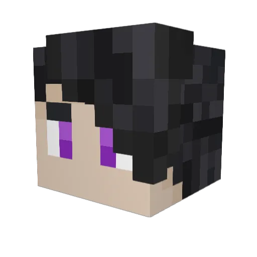 YoGrT0104 Minecraft avatar head, 3D render