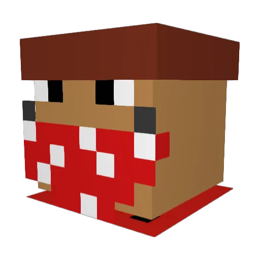 YoWhatIsGoingOn Minecraft avatar head, 3D render
