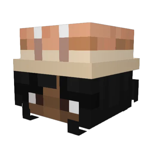 Yo_Aerymm Minecraft avatar head, 3D render
