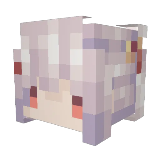 Yo_Guoku Minecraft avatar head, 3D render