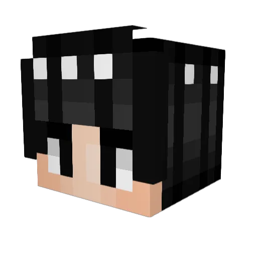 Yo_Wuz_Gud Minecraft avatar head, 3D render
