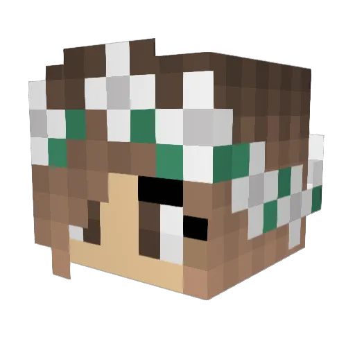 Yo_mii Minecraft avatar head, 3D render