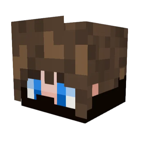 Yo_swiftness Minecraft avatar head, 3D render
