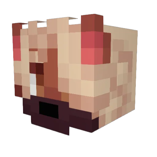 Yoappian Minecraft avatar head, 3D render