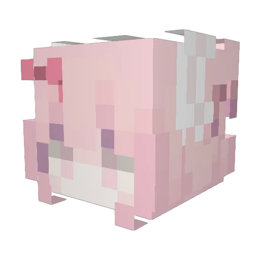 Yociii Minecraft avatar head, 3D render