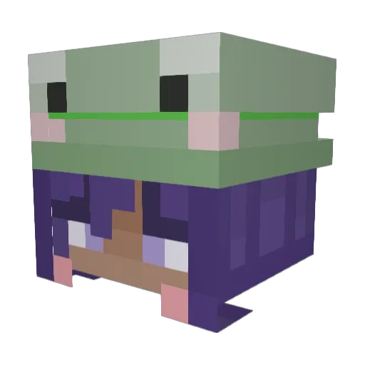 YodaRoxs1 Minecraft avatar head, 3D render