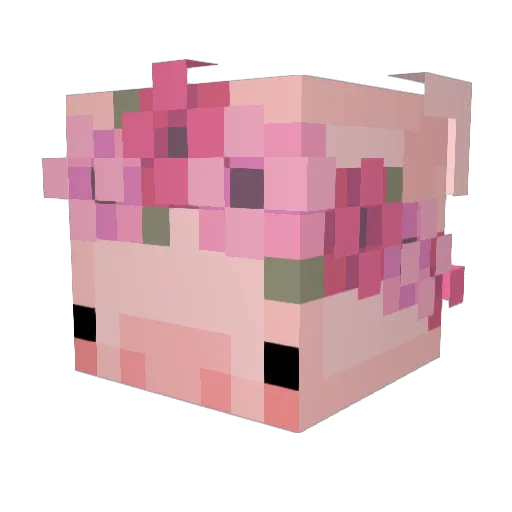 YodaSchmoda Minecraft avatar head, 3D render