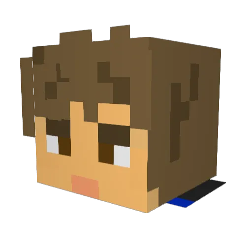 Yodababy2011 Minecraft avatar head, 3D render