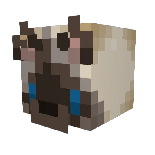Yodasimbaz_ Minecraft avatar head, 3D render