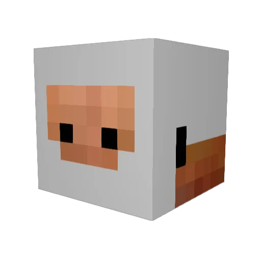 YodyDSG Minecraft avatar head, 3D render