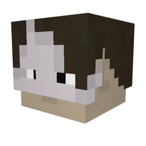 YogaYoda Minecraft avatar head, 3D render