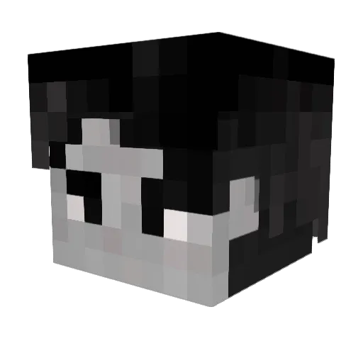 Yogabbagabbafan Minecraft avatar head, 3D render