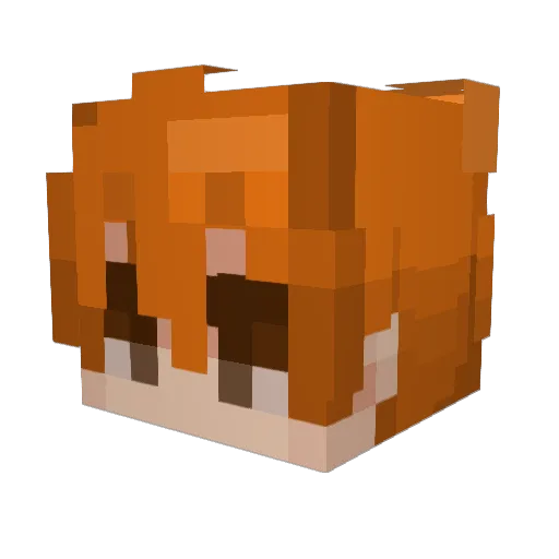 Yogi700 Minecraft avatar head, 3D render