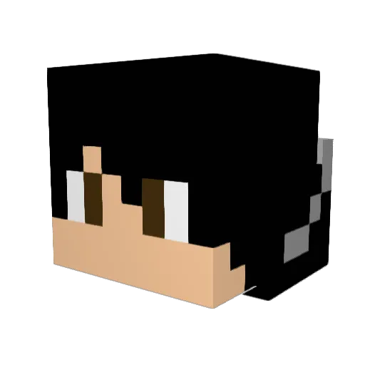 Yogi_Land Minecraft avatar head, 3D render