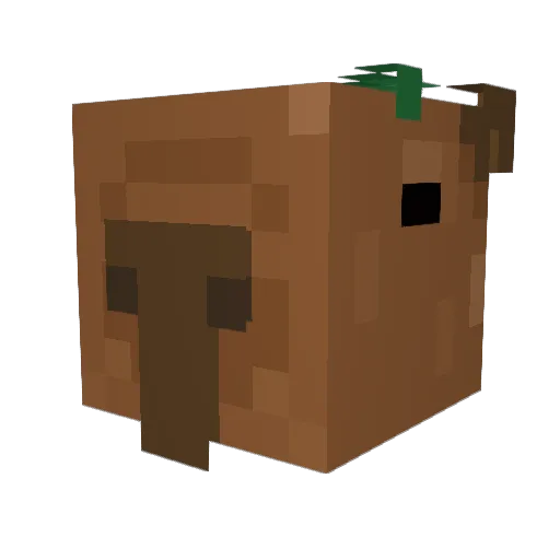 Yogobara Minecraft avatar head, 3D render
