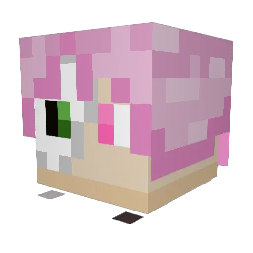 YogurtSnorter445 Minecraft avatar head, 3D render