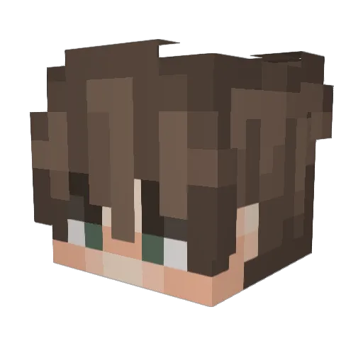 Yoink___ Minecraft avatar head, 3D render