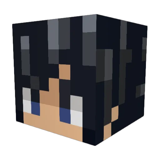 YoinkySploinky69 Minecraft avatar head, 3D render