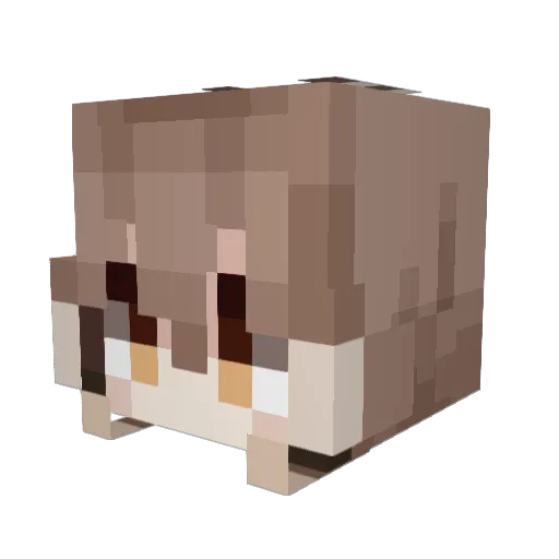 Yojimbo38 Minecraft avatar head, 3D render