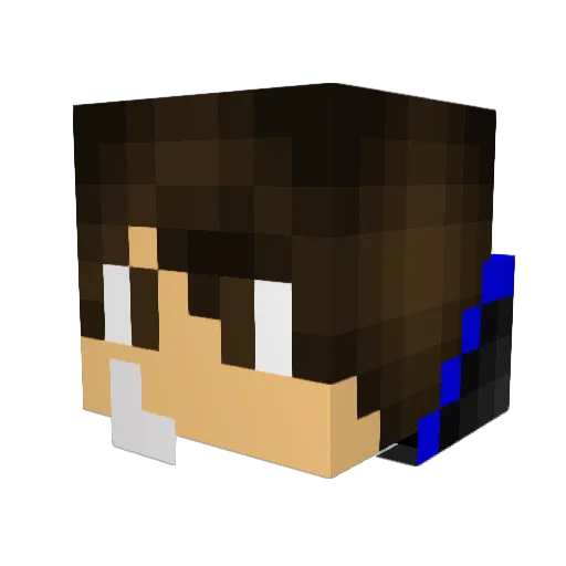 Yojoewaggon10 Minecraft avatar head, 3D render