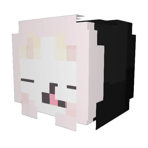 Yokan9 Minecraft avatar head, 3D render
