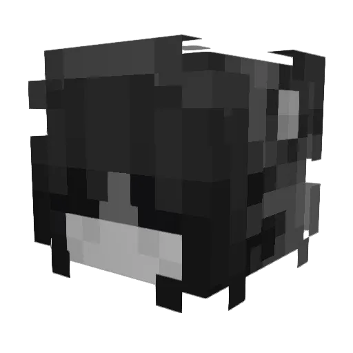 Yoki3204 Minecraft avatar head, 3D render