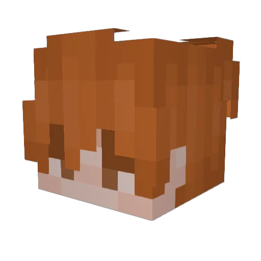Yoki4132 Minecraft avatar head, 3D render