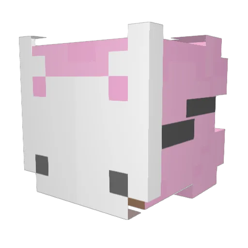 Yoki_ Minecraft avatar head, 3D render