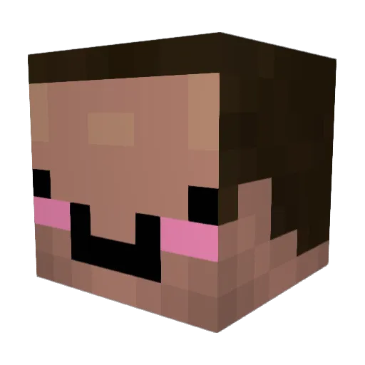 YokingLotus8655 Minecraft avatar head, 3D render
