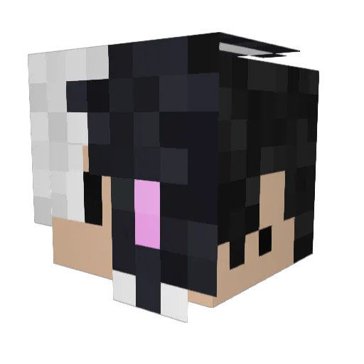 Yokkaii Minecraft avatar head, 3D render
