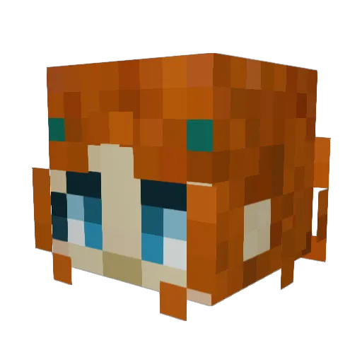 Yokok_ Minecraft avatar head, 3D render