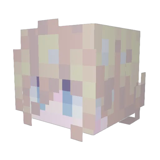 YokoteBruh Minecraft avatar head, 3D render