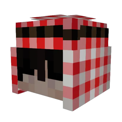 Yoky69 Minecraft avatar head, 3D render