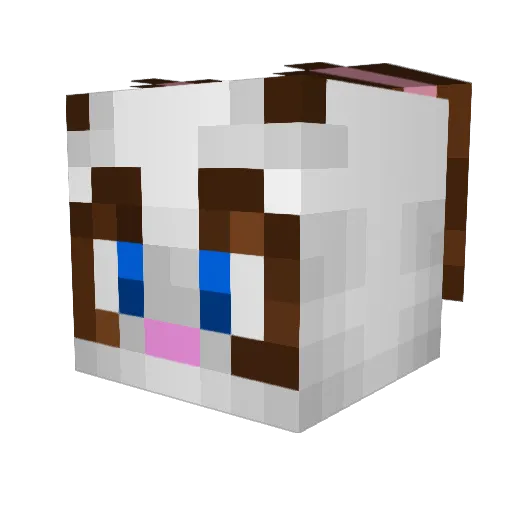 Yolebsito Minecraft avatar head, 3D render
