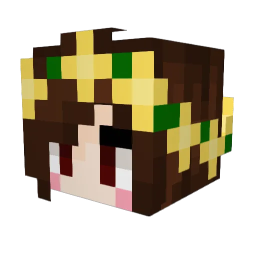 YoloDaCat Minecraft avatar head, 3D render