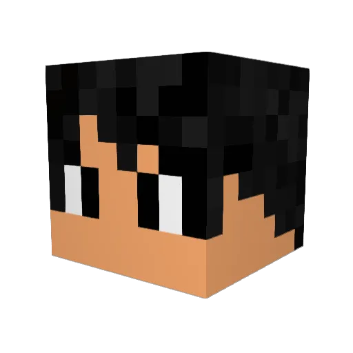 YoloLink Minecraft avatar head, 3D render