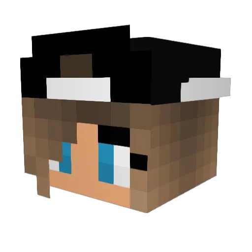 YoloMary_ Minecraft avatar head, 3D render
