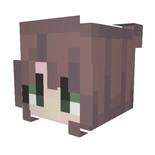 YoloSwag1616 Minecraft avatar head, 3D render