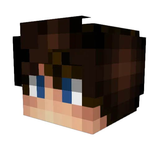 YoloSwagFish1 Minecraft avatar head, 3D render